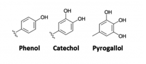 PYROGALLOL